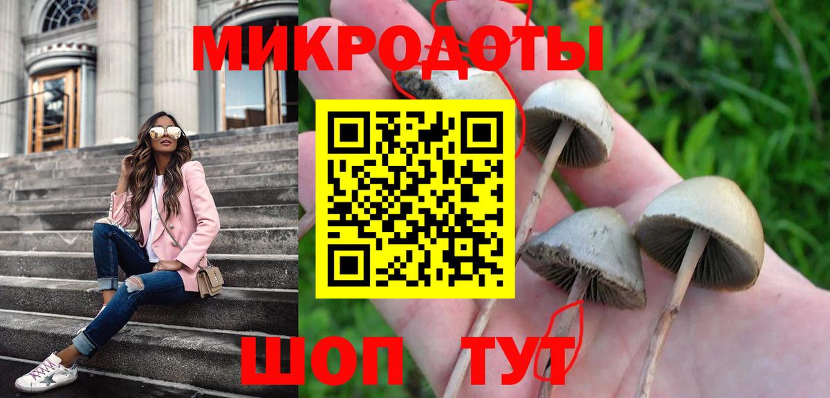 Псилоцибиновые грибы мицелий Заволжье
