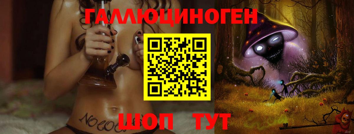 как найти   Вход с VPN  Заволжье  Галлюциногенные грибы Psilocybe 